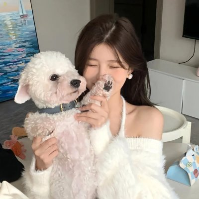 河东狮吼 在线观看封面
