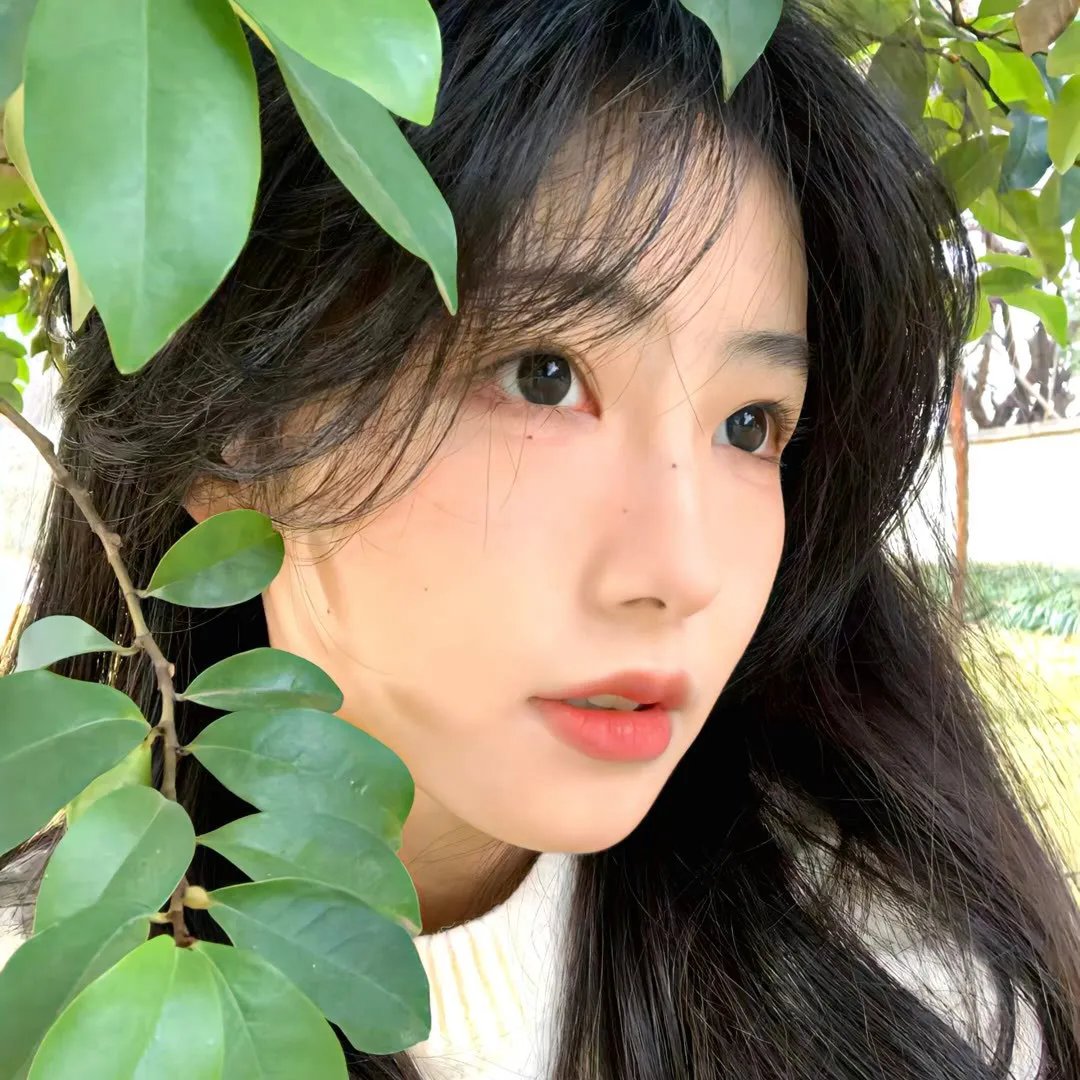 时/空 在线观看封面
